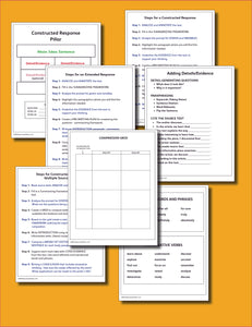 NEW! Constructed Response Digital Poster Set (DIGITAL DOWNLOAD)
